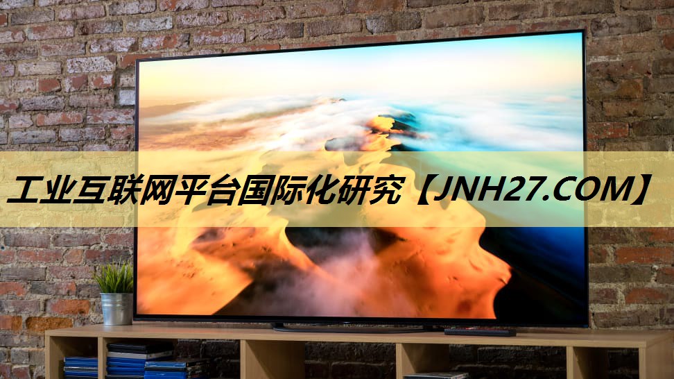 工业互联网平台国际化研究