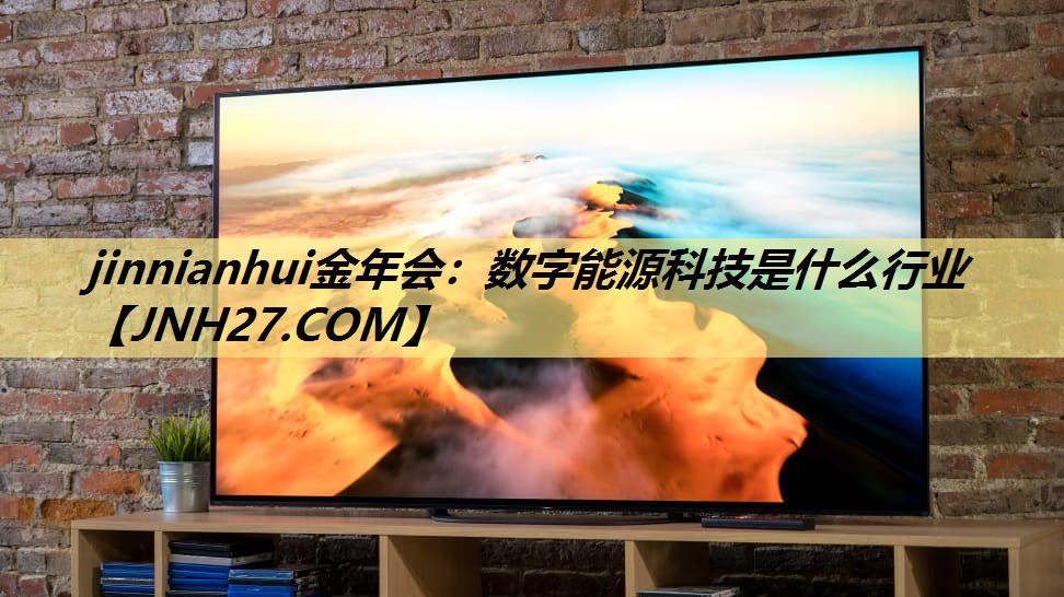 jinnianhui金年会：数字能源科技是什么行业
