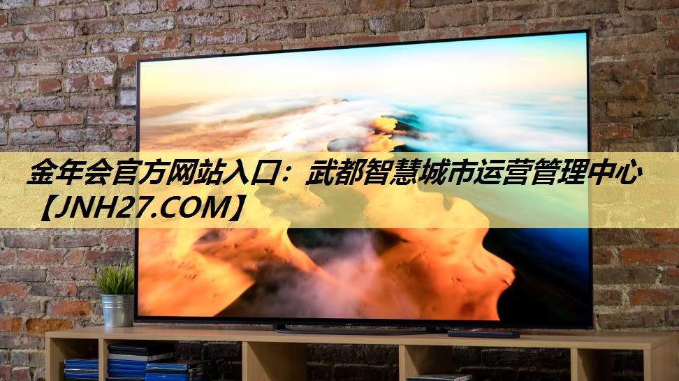 金年会官方网站入口：武都智慧城市运营管理中心