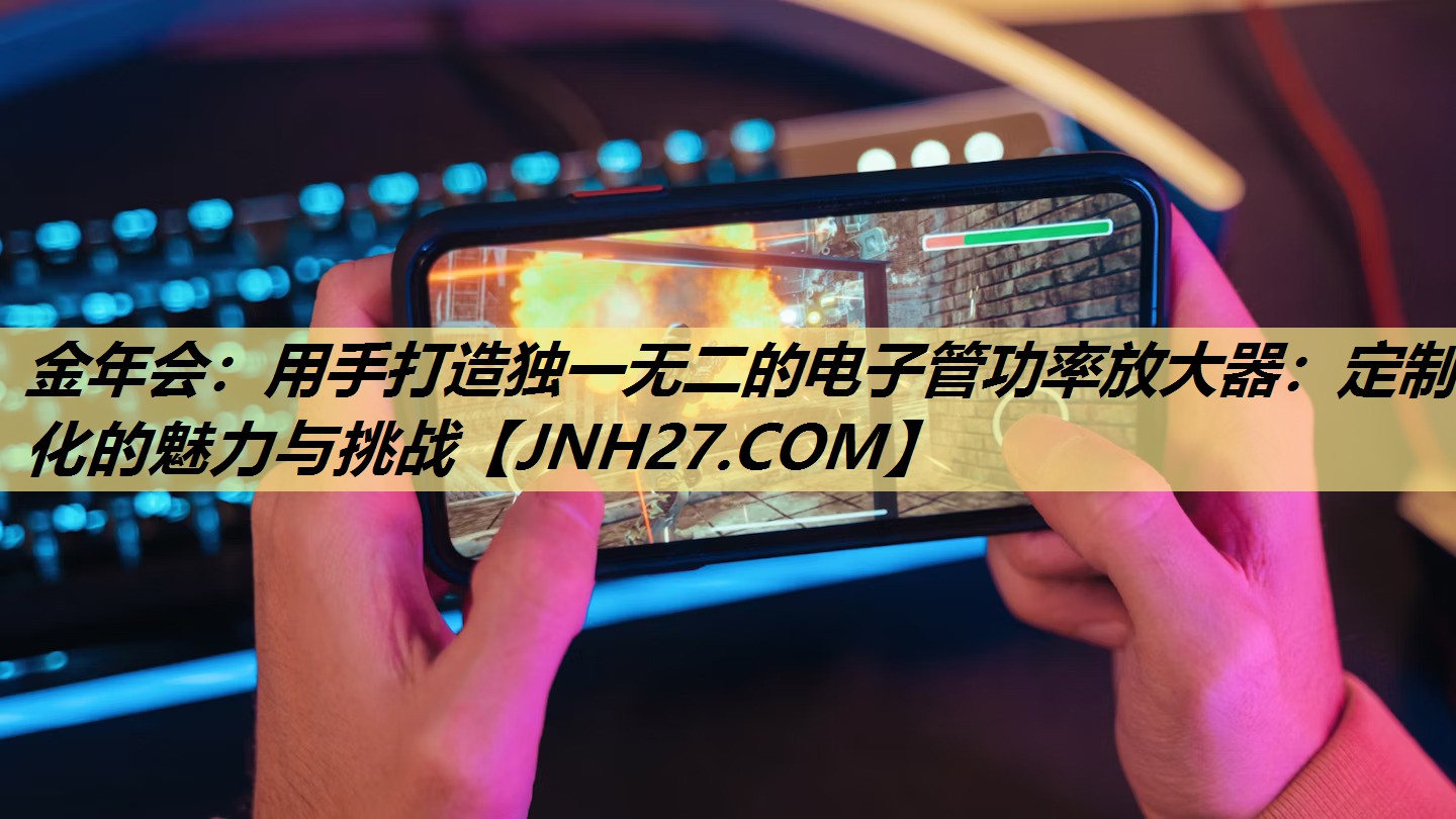 用手打造独一无二的电子管功率放大器:定制化的魅力与挑战 用手打造独一无二的电子管功率放大器:定制化的魅力与挑战