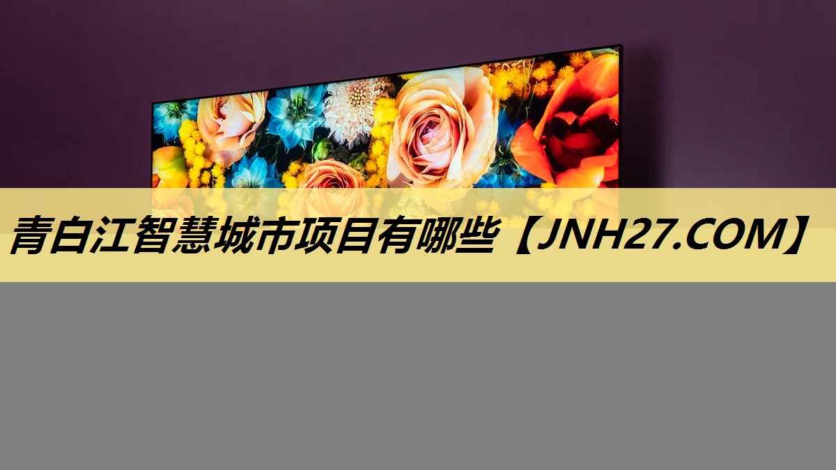 青白江智慧城市项目有哪些 青白江智慧城市项目有哪些