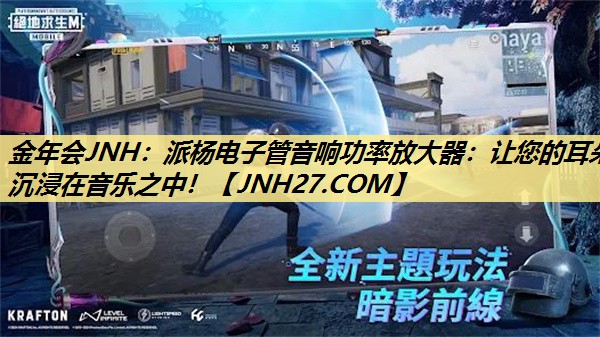 派杨电子管音响功率放大器:让您的耳朵沉浸在音乐之中! 派杨电子管音响功率放大器:让您的耳朵沉浸在音乐之中!