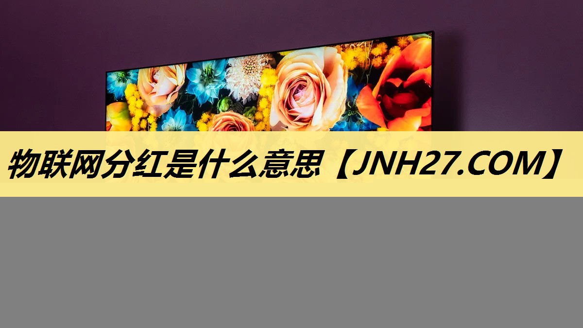 物联网分红是什么意思 物联网分红是什么意思